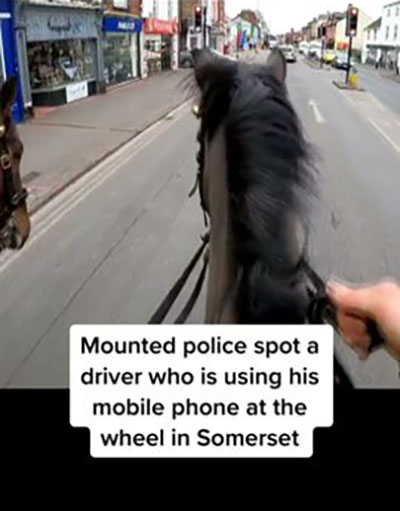 Police Officer On Horse Chases Down Driver Texting